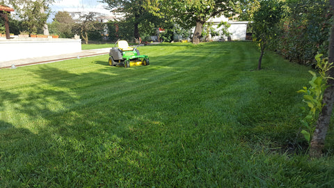 Cura del prato in autunno