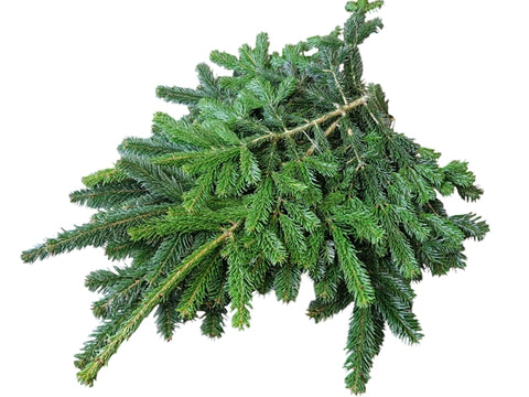 Rami Normandiana  Reciso