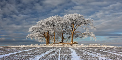 Benvenuti nel Nostro Negozio