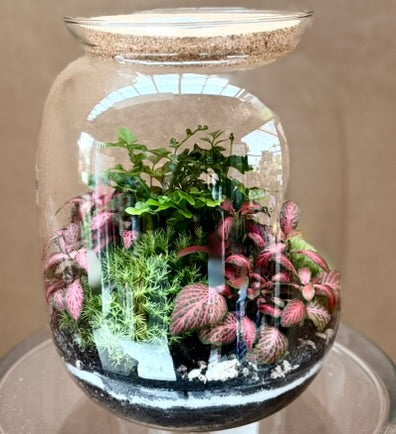 Terrario Diametro 17 H 22