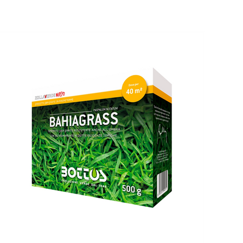 Paspalum Notatum 500 G