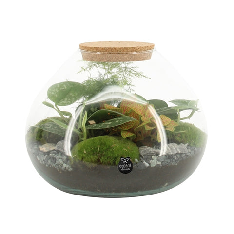 Terrarium