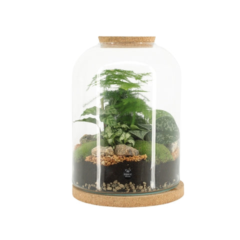 Terrarium