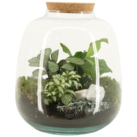 Terrarium