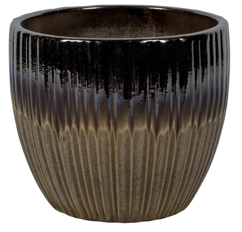 Vaso Doha Brown
