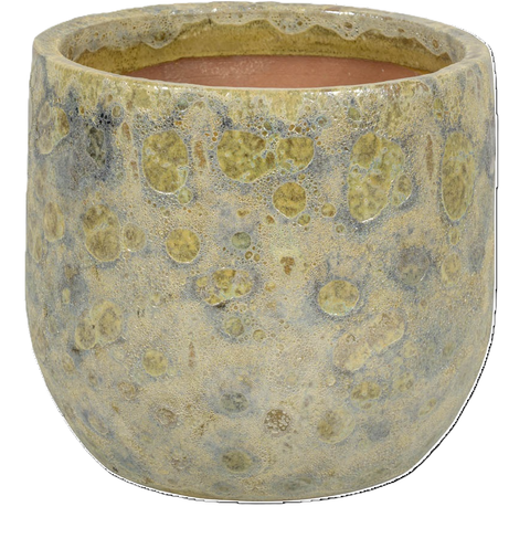 Vaso Vikan champagne