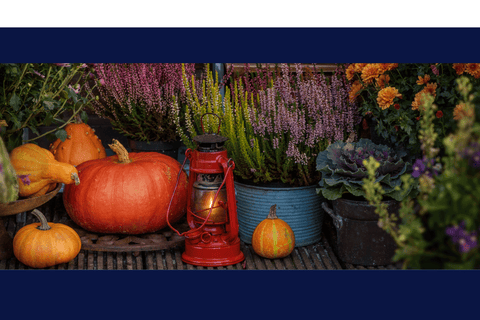 Benvenuti nel Nostro Negozio