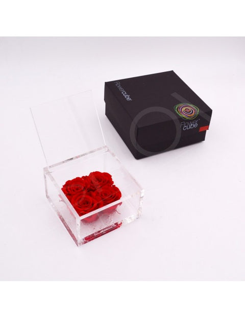 FLOWERCUBE 4 ROSE 10X10X6