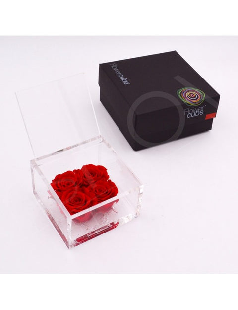 FLOWERCUBE 4 ROSE 15X15X8