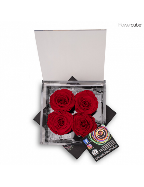 FLOWERCUBE 4 ROSE 15X15X8