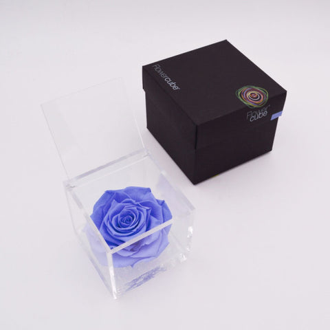 Flowercube 12X12 Rosso