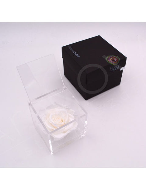 Flowercube 12X12 Rosso