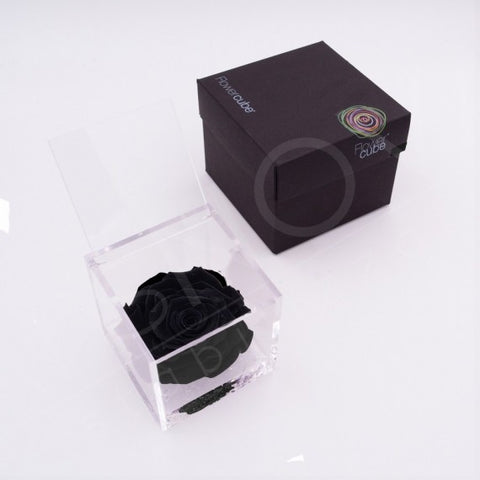 Flowercube 12X12 Rosso