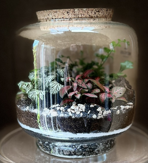 Terrario diametro 17 h 17