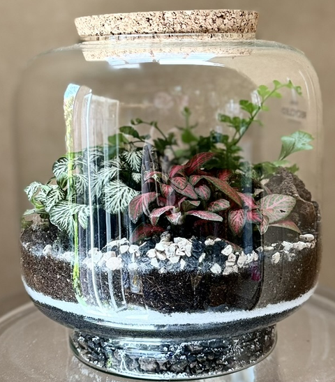 Terrario diametro 17 h 17