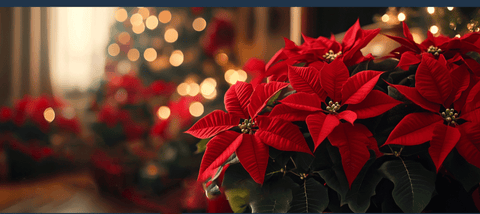 Professionisti per Natura