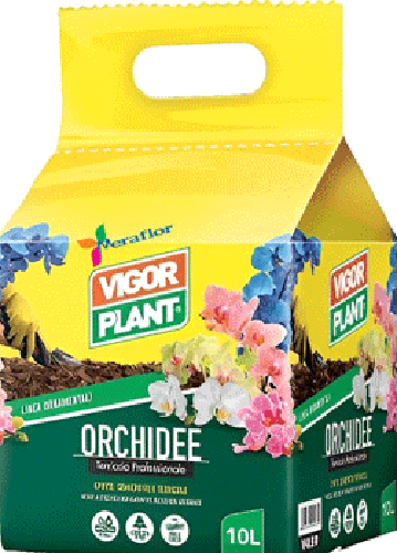 Terriccio Orchidee Lt 10