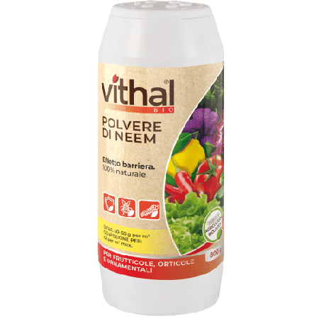Vithal Bio Polvere di Neem g 800