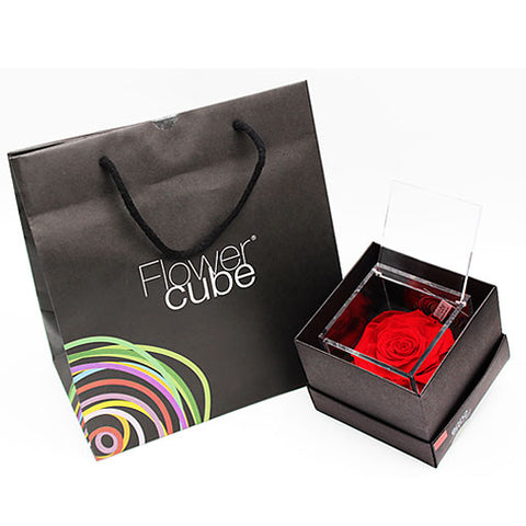 Flowercube 12X12 Rosso